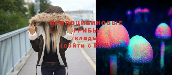 трава Инсар